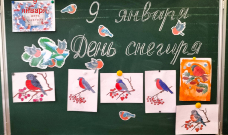 День снегиря.
